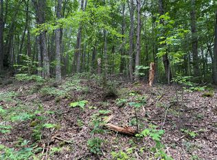 Red Clover Rd, Elk Park, NC 28622