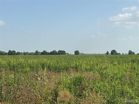 2nd image of 0 County Road 406
