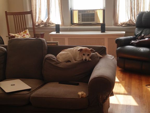 4th image of 1116 Randolph St APT 3E