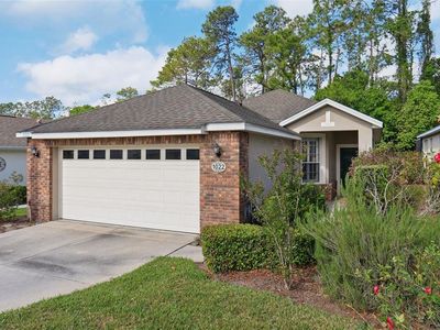 1022 Saint Ives Ct, Mount Dora, FL, 32757