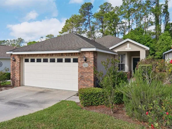 1022 Saint Ives Ct, Mount Dora, FL 32757