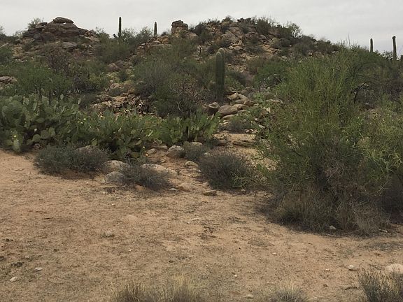 3rd image of 2760 W Cougar Canyon Trl