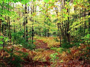 4690 Route 100 Rte, Warren, VT 05674