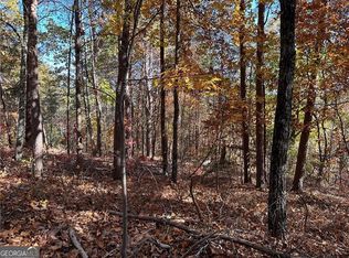 1334 Birch Ln, Ranger, GA 30734