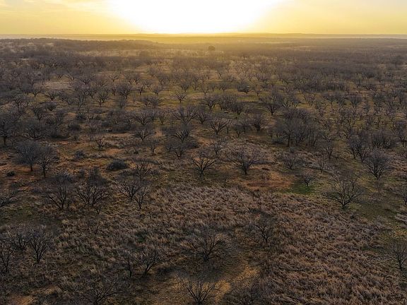 Dji 20260219075556 0609 D