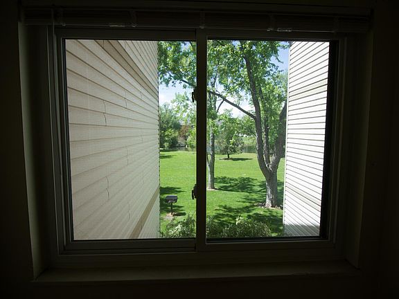 Window looking out to Trees and Lake