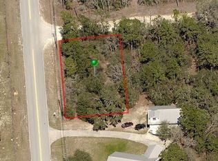 425 S Crestview Ave, Inverness, FL 34452