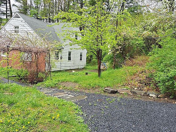 Spring pear trees and yard