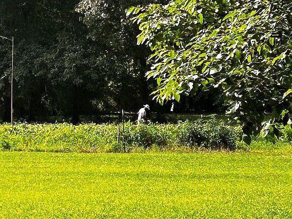 5th image of 520 Crawford Loop