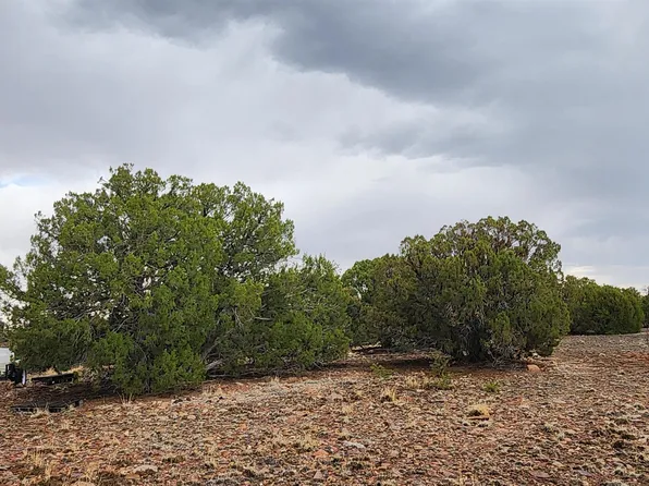 21 Wagon Dr, Quemado, NM 87829