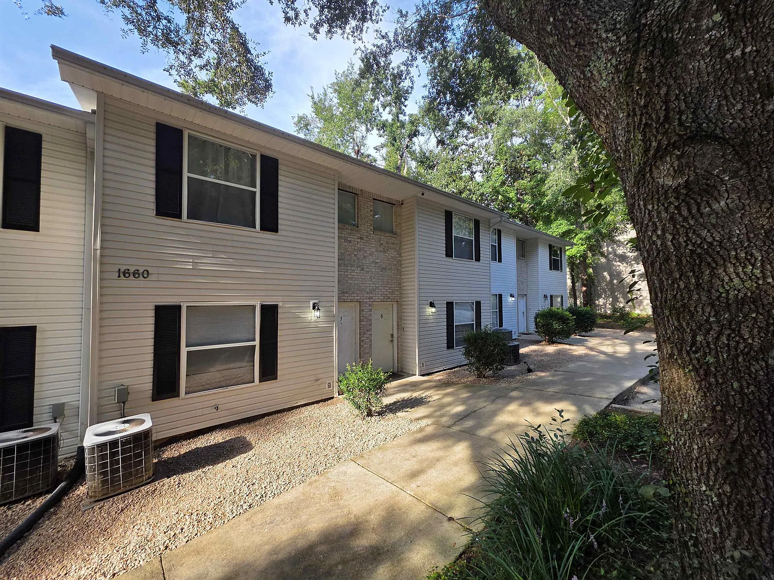 3 bed, 1235 sqft, $1,450 — Photo 3
