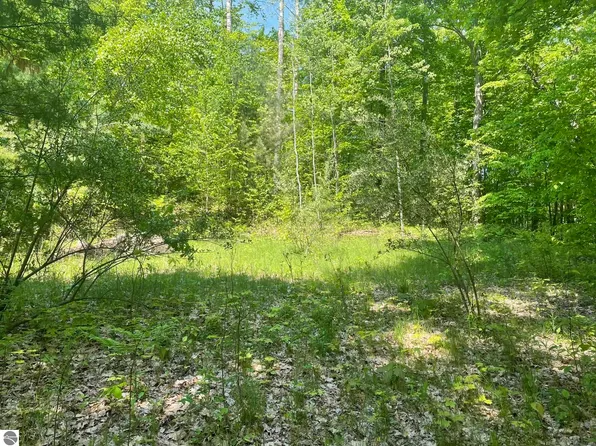 5403 E Circle Dr, Rose City, MI 48654