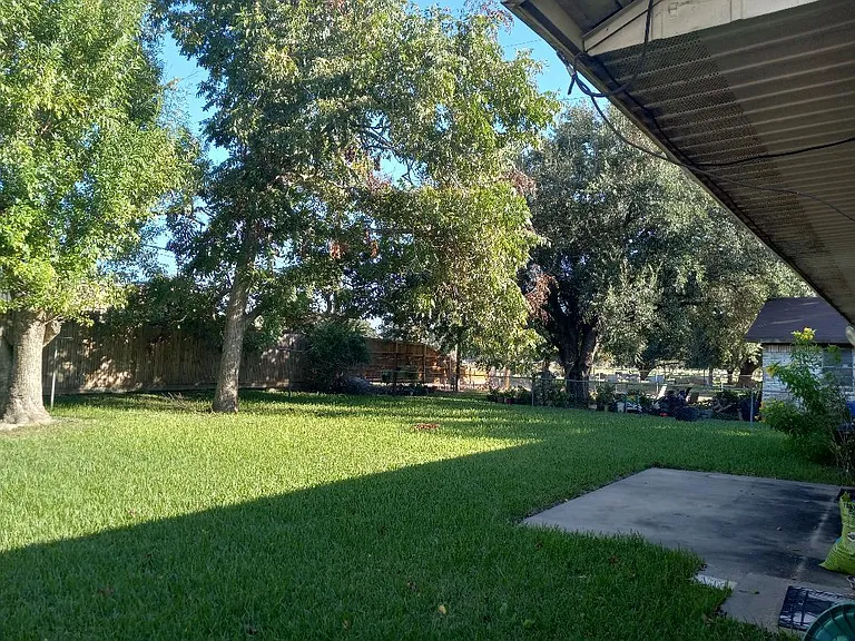 Large Backyard
