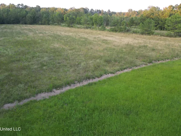 1844 Swamp Rd, Carthage, MS 39051