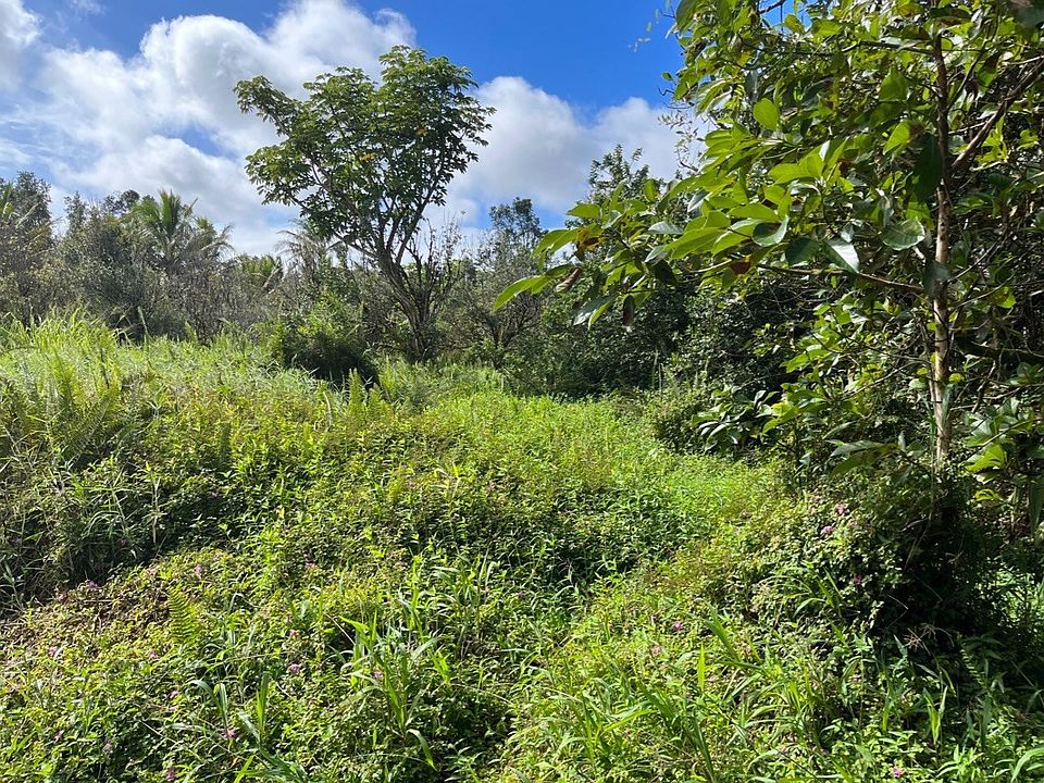 1st image of Puna St Lot 592