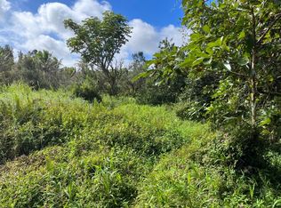 Puna St LOT 592, Pahoa, HI 96778
