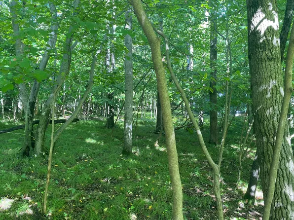 12100 Belle Isle Dr #369, Stanwood, MI 49346