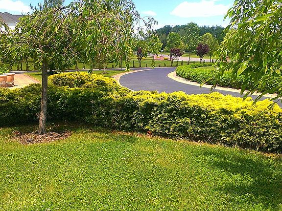 Driveway--Left