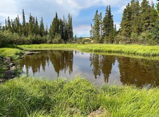 111 Lake Rd, Idaho Springs, CO 80452