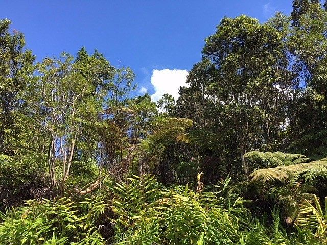 1st image of Kamakahala St Lot 8753