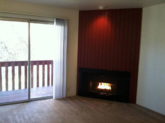 Gas Fireplace