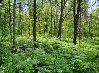 S Nelson Rd, Idlewild, MI 49642