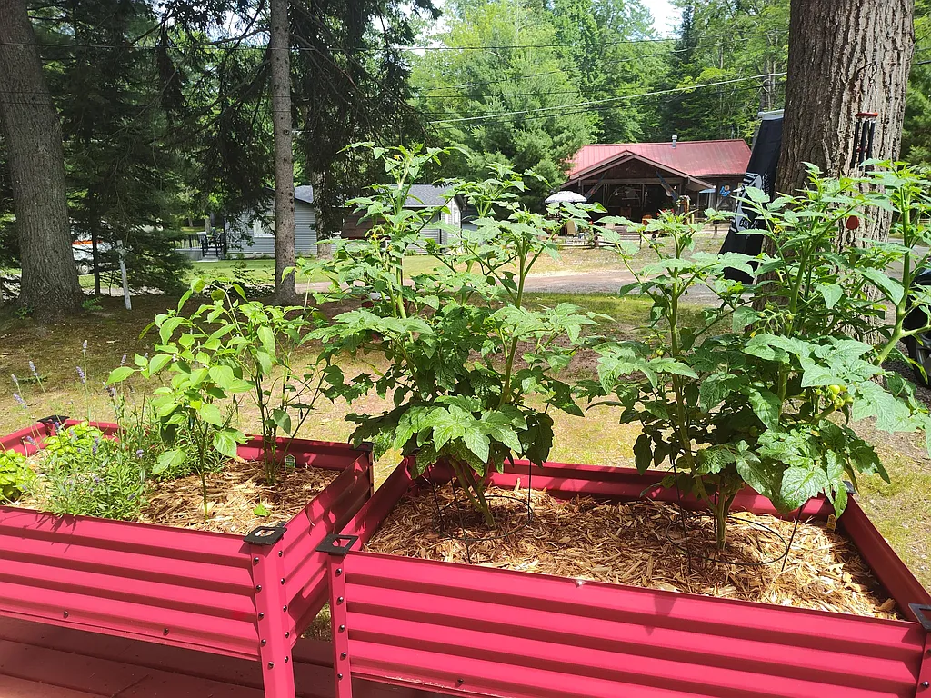 Property photo 5