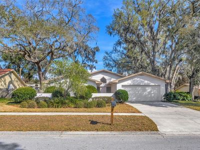 1011 Meadowcrest Dr, Valrico, FL, 33594