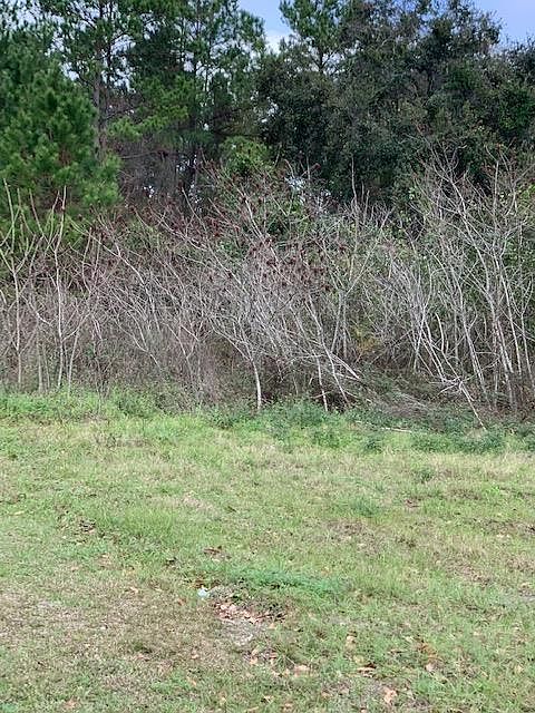 2nd image of 4743 Forrest Oak Ln