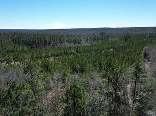 5 Robinsonville Rd, Atmore, AL 36502