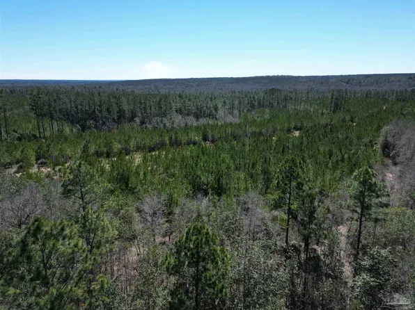 5 Robinsonville Rd, Atmore, AL 36502