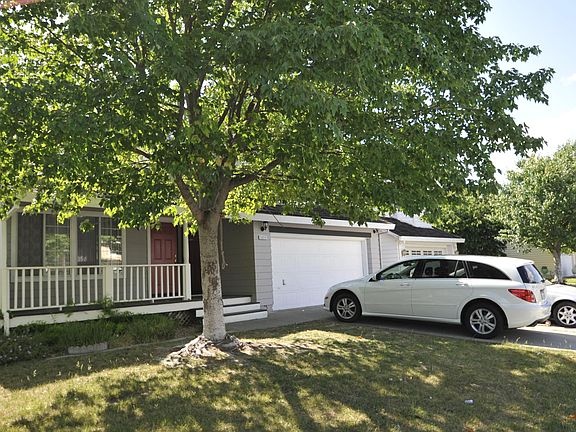 tree on the front yard