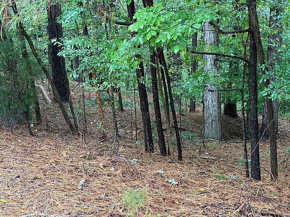 4th image of 1011 Callahans Ridge Rd #100
