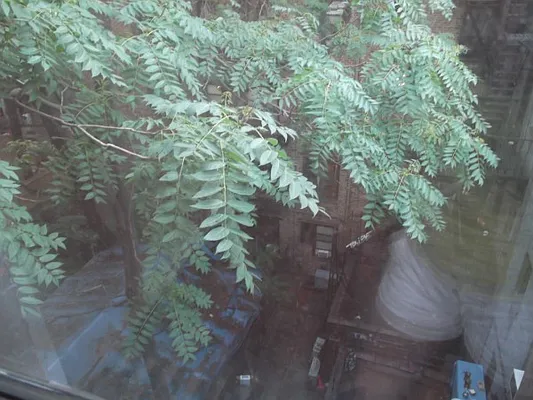 Rented by Best Apartments North Inc | media 40