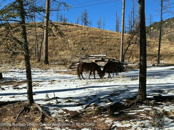 155 Jarratt Loop, Ruidoso, NM 88345