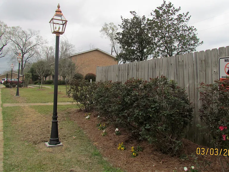 16161 Tiger Bend Rd — Photo 11