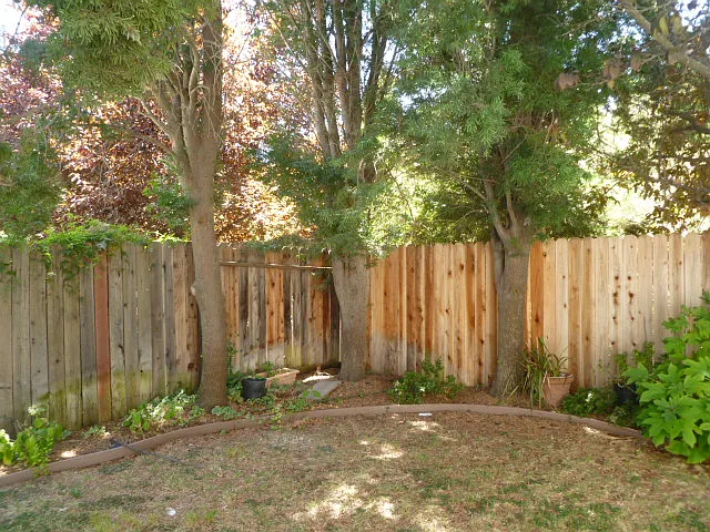 2862 Hillcrest Rd — Photo 18