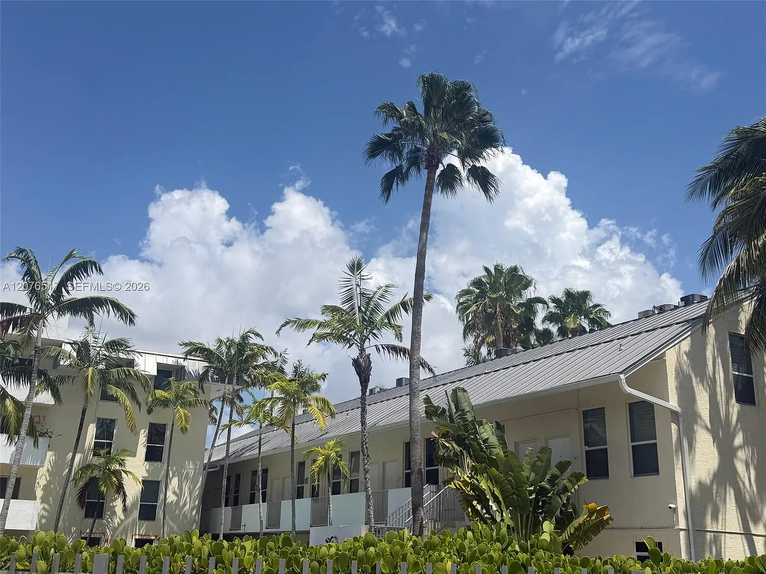 Palms Of Pinecrest Condo — Photo 1