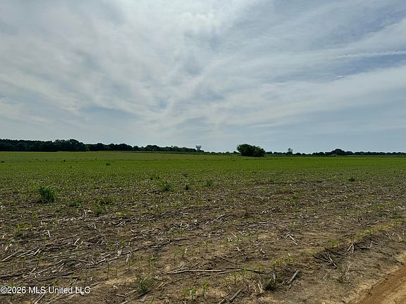 5th image of Old Jackson Rd