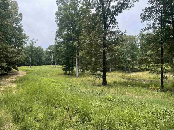 0 County Road 761, Brookland, AR 72417