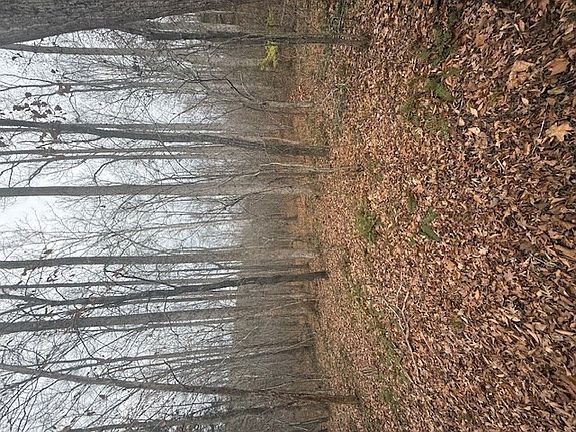 2nd image of Paradise Rd