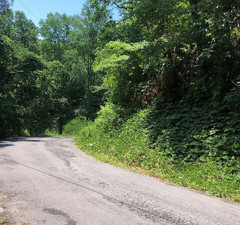 1st image of 4 Black Walnut Flats Rd Lot 4