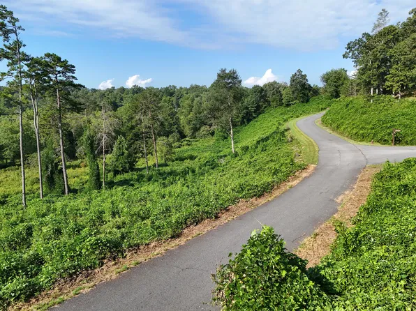 LOT 30 Arbor Creek Trl, Mineral Bluff, GA 30559