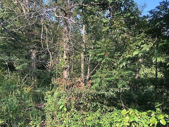 3rd image of 115 Clear Water Ln
