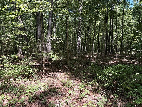 4th image of 25 N Bluff Point Rd