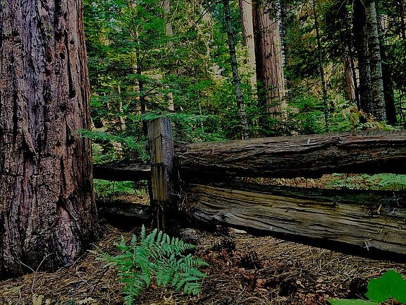 Take this Trail
