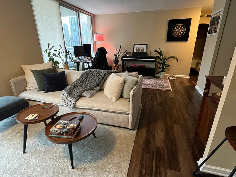 71 E Division St #1005 — Photo 3