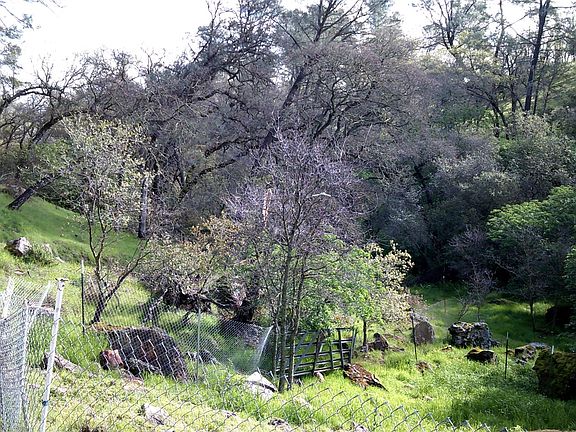 4th image of 13774 Lake Camanche Ln