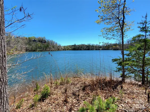 14 Jackson Cove Pkwy, Mill Spring, NC 28756