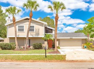15617 Bear Creek Dr, Tampa, FL 33624